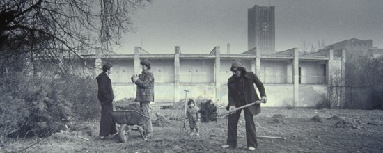 Aufräumarbeitenauf der Sommerwiese im Herbst 1979