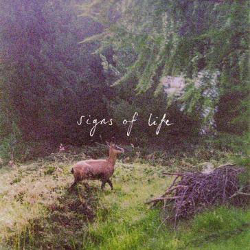 Reh steht in sonnendurchflutetem Wald mit grünem Unterholz, im Hintergrund Text ‚signs of life‘, natürliche Atmosphäre.