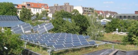 Ein malerischer Anblick: Die blauen Solarpaneele bilden einen spannenden Kontrast zu den roten Ziegeldächern und dem satten Grün der Bäume. Das Bild vermittelt eine Atmosphäre von Ruhe und Nachhaltigkeit.