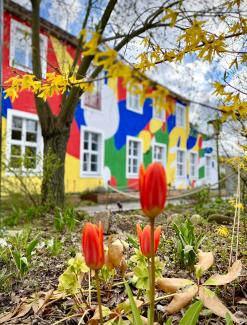 Das bunte Verwaltungsgebäude der ufaFabrik mit Blumen und Blüten im Vordergrund.